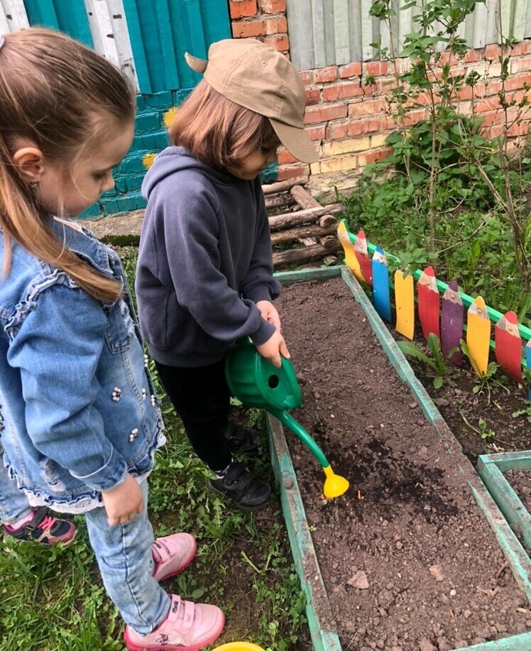 Дети посадили огород. Посадка огорода в маленьком садике. Мы сажаем огород. Дети сажают сад. Картинки для детей садим огород.