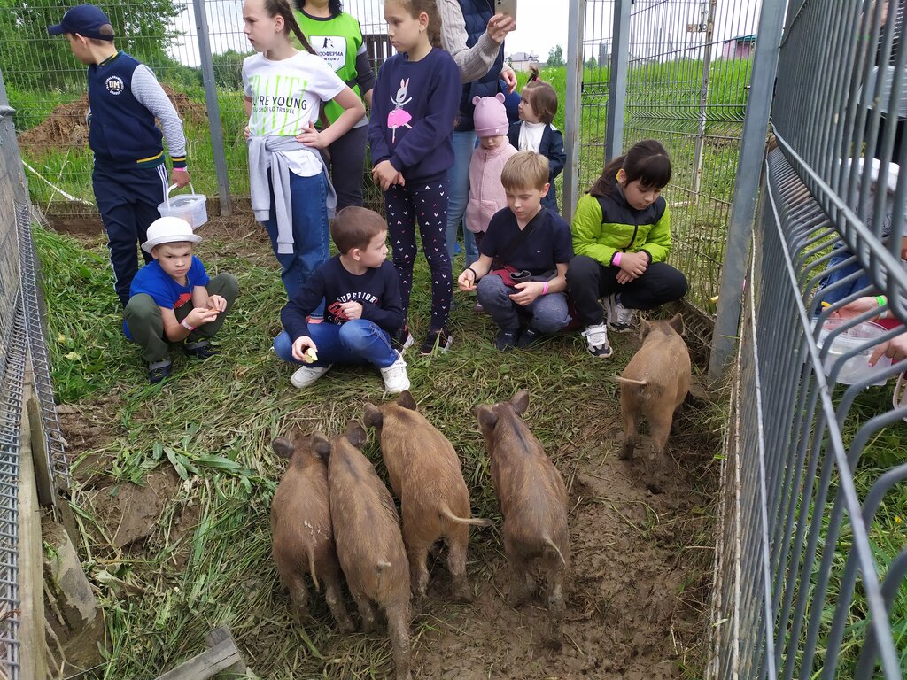 Ферма в дмитровском районе. Парк Шихово Зооферма. Зоопарк Шихово Дмитровский район. Ферма Шихово Дмитровский район. Зооферма Дмитровский район.