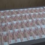 <strong>В Дмитрове полицейские задержали курьера телефонных мошенников, обманувших 80-летнюю пенсионерку</strong>