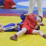 <strong>В ФОКе «Локомотив» прошёл I этап ежегодного турнира по самбо на призы «АСП-Групп»</strong>