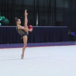 <strong>В парке «Экстрим» прошло Первенство Дмитровского муниципального округа «Дмитровчанка» по художественной гимнастике</strong>