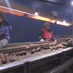 На предприятии Мосагрофуд-Д