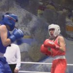 <strong>В парке «Экстрим» прошёл турнир по боксу в честь дня рождения Олимпийского чемпиона Олега Григорьева</strong>