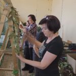 Помочь волонтёрскому центру решила депутат Государственной Думы Ирина Роднина