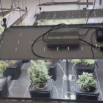 Сотрудники наркоконтроля в Дмитровском округе задержали мужчину, подозреваемого в сбыте наркотиков