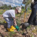 В Дмитровском округе прошла международная акция «Сад памяти»