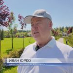 Современная база отдыха в Рождествено – это настоящий экопарк площадью в несколько гектаров